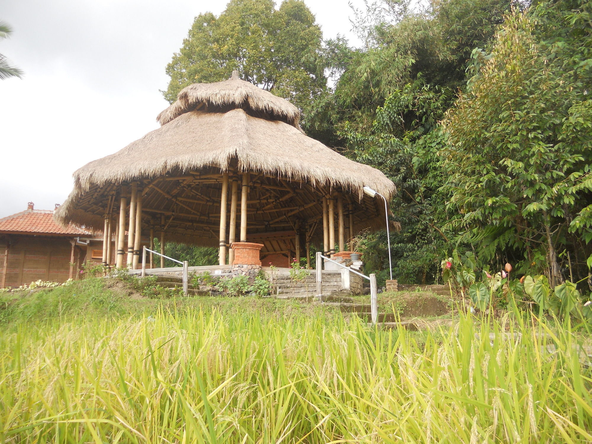 Puri Lumbung Cottages Gobleg  Zewnętrze zdjęcie
