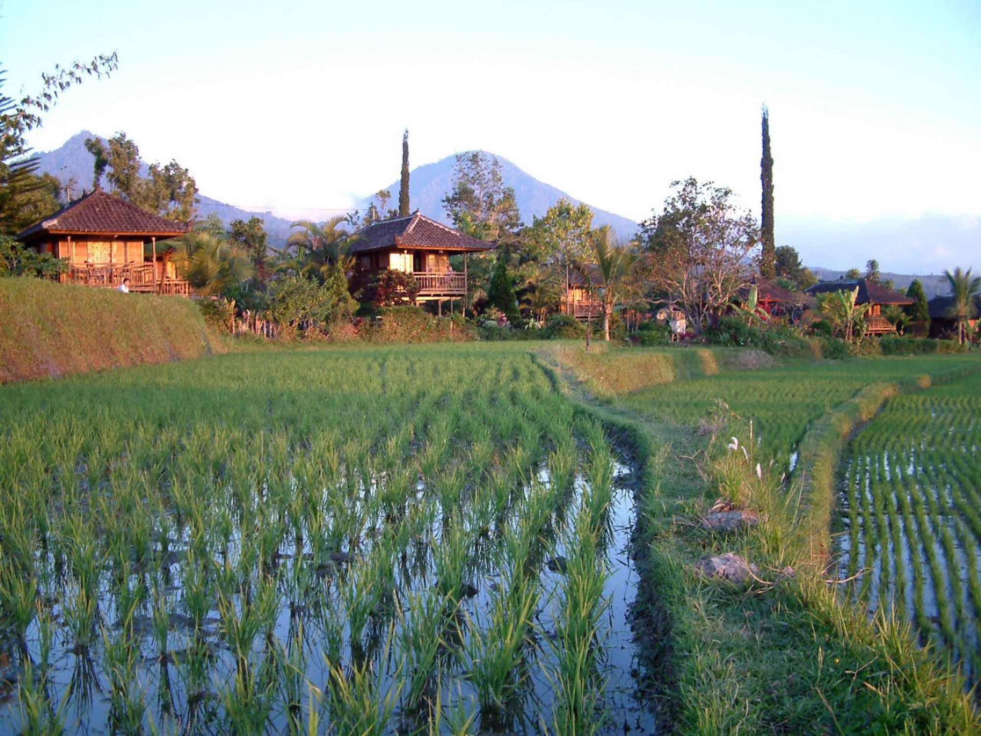 Puri Lumbung Cottages Gobleg  Zewnętrze zdjęcie