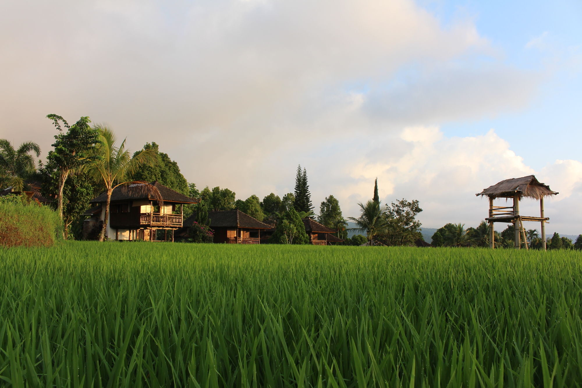 Puri Lumbung Cottages Gobleg  Zewnętrze zdjęcie