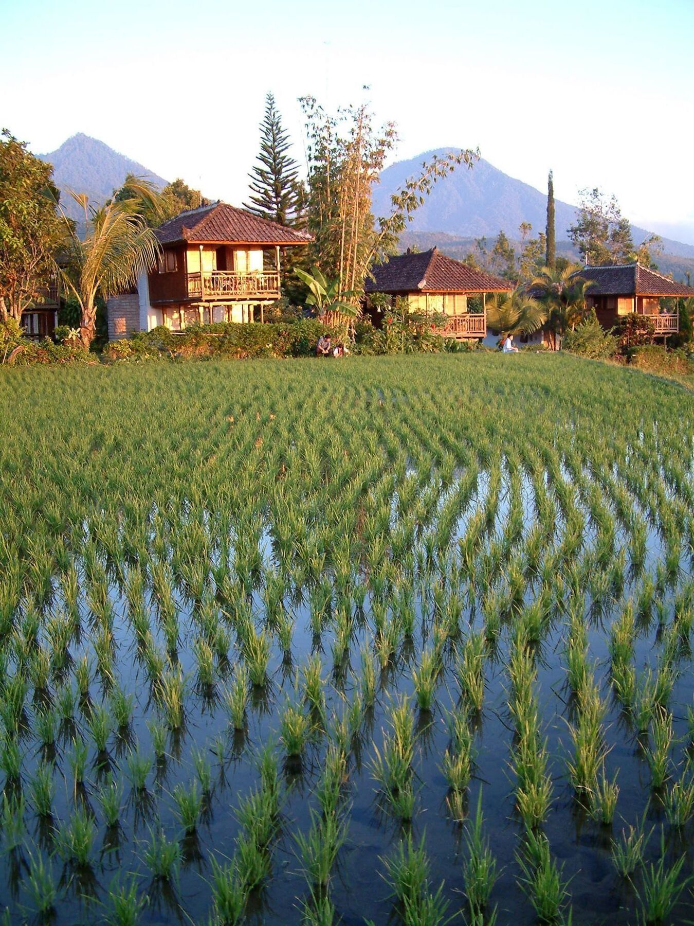 Puri Lumbung Cottages Gobleg  Zewnętrze zdjęcie
